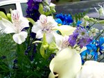100_0579a.jpg