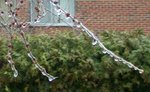 100_0798a.jpg