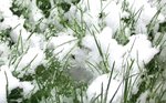 100_0817b.jpg