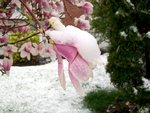 100_0826a.jpg