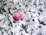100_0823a.jpg
