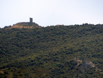P1000087s.jpg