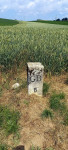 20220616_112855.jpeg