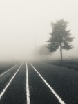 brume.JPG