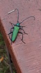 20200725_145558.jpg
