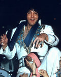 Trop tard... The King